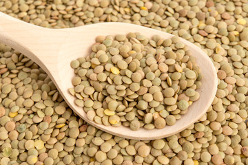 Getrocknete Tellerlinsen