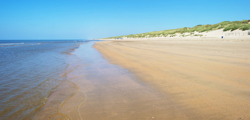 North Sea along a sunny beach in spring