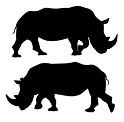 Plakat Rhinoceros