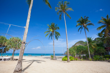 Naklejka na ściany i meble Tropical beach with palms