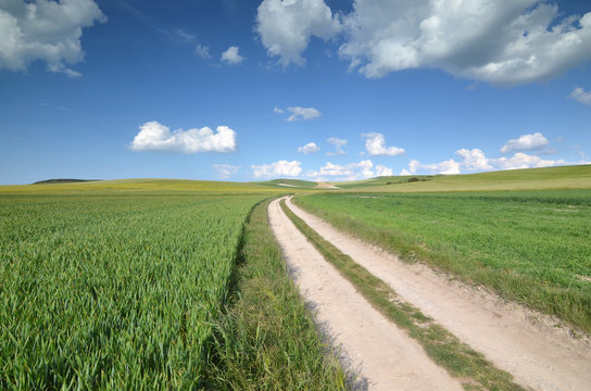 chemin entre les blés