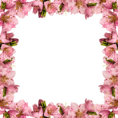 Beautiful frame with peach flowers