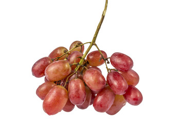 Red Grapes