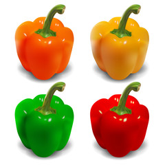 Bell pepper vector - orange, yellow, green, red
