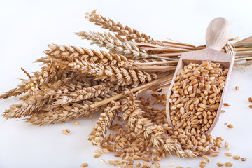 Ripe wheat with a wooden spatula on white background