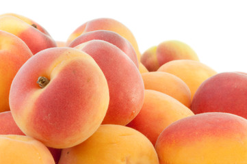 beautiful background of apricot
