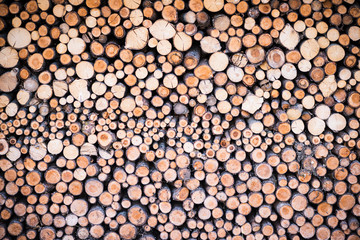 stack of round cutted firewood pieces as background texture