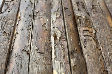 Old Wood BAckground