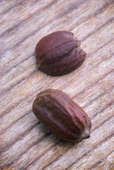 Jojoba seeds (Simmondsia chinensis)