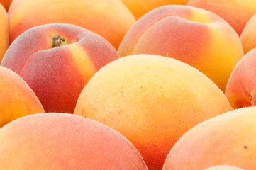 beautiful background of apricot