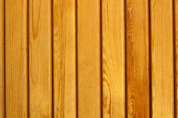 Wood Background