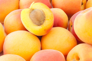 beautiful background of apricot