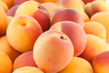 beautiful background of apricot