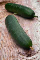 Cucumber
