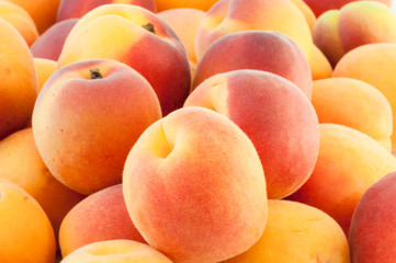 beautiful background of apricot