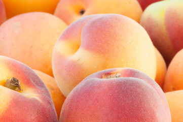 beautiful background of apricot