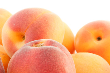 beautiful background of apricot