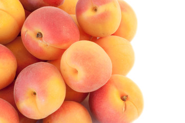 beautiful background of apricot