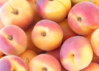 beautiful background of apricot
