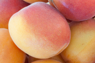 beautiful background of apricot