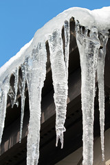 Icicles 6
