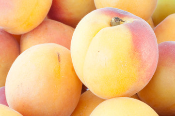 beautiful background of apricot