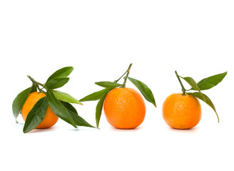 Tangerines