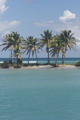 Fototapeta na wymiar Dłoń Mayreau Saint Vincent i Grenadyny karaibski 09