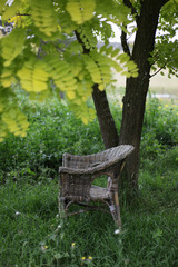 Chair in the Shade