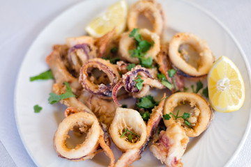 Fresh fried calamary rings. Shallow DOF