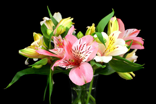 Alstroemeria flowers in vase on table on dark grey background