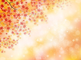 もみじ　紅葉　風景