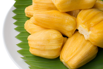 jack fruit