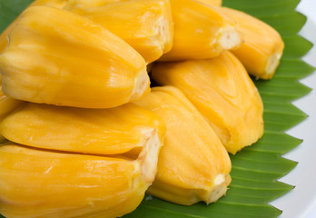 jack fruit