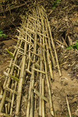 Dam to slow down the flow of water,to protect forests and preser