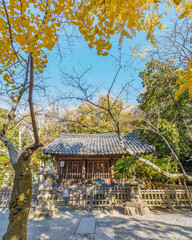 Fototapeta premium Small Hall of Kotoku-in Temple in Kamakura