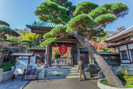 Fototapeta Main Gate of Hase-dera Temple in Kamakura