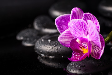 Spa concept of zen stones, blooming twig lilac stripped orchid,