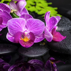 spa setting of stripped lilac orchid (phalaenopsis), branch of f