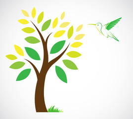 Vector design of trees and hummingbird