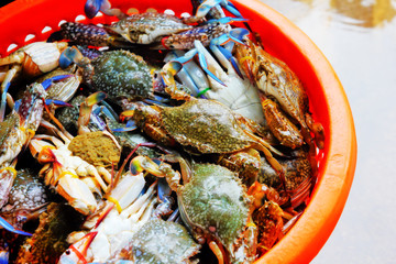 Crabs and wholesale