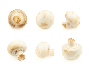 Six champignon mushrooms