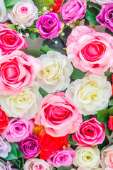 Flowers background
