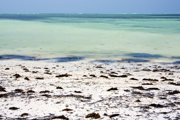 africa coastline   the  blue lagoon relax  of zanzibar