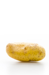 Potato isolated on white