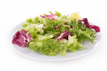 vegetable salad