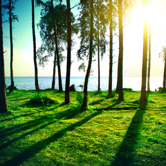 Fototapety na wymiar - Fototapeta24.pl