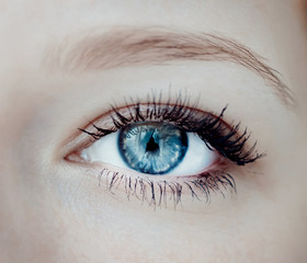 Fototapeta premium Human eye close-up. Macro shot. Color toned image.