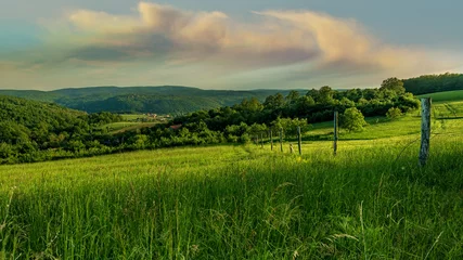Foto op Plexiglas Beautiful landscape, a field of green grass, hills and clouds © Zsolnai Gergely