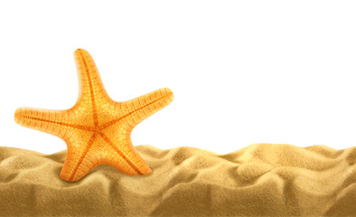 Fototapeta na wymiar Summer background, starfish in the sand
